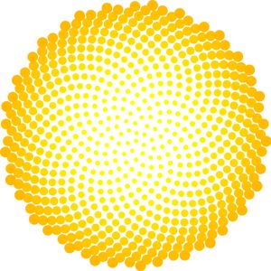Phyllotaxis with Mathematica